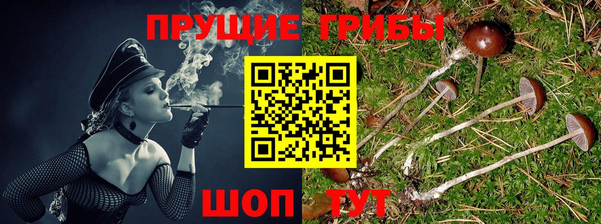 Галлюциногенные грибы MAGIC MUSHROOMS Видное