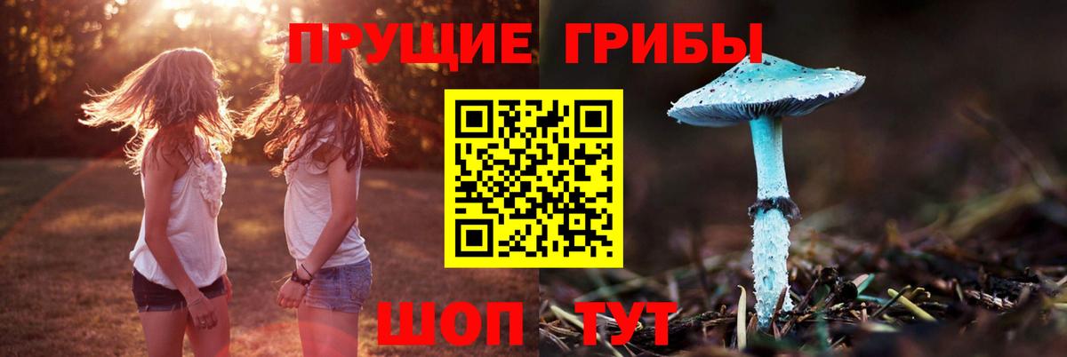 Псилоцибиновые грибы прущие грибы  Галлюциногенные грибы MAGIC MUSHROOMS  Видное  Вход с VPN 